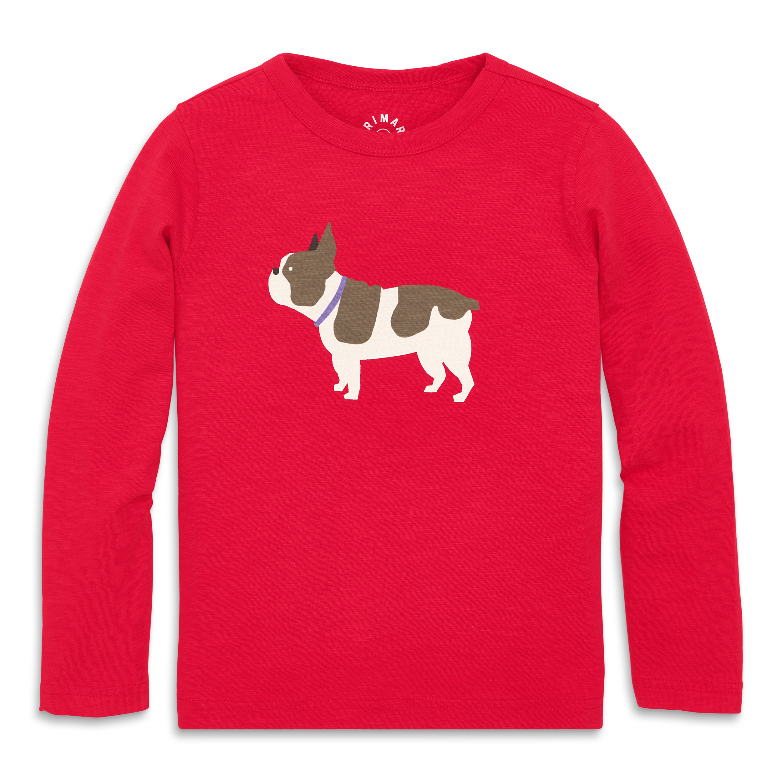 selected Lollipop Frenchie