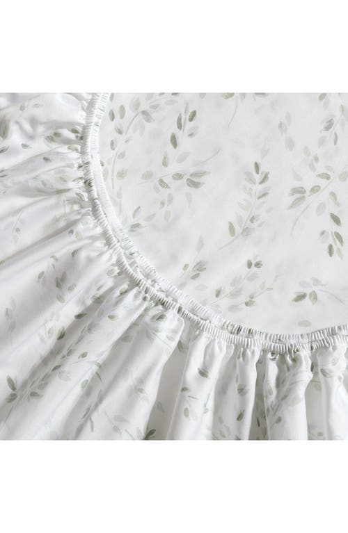 Calvin Klein Airy Botanical 300 Thread Count Sateen Sheet Set In Pale Green