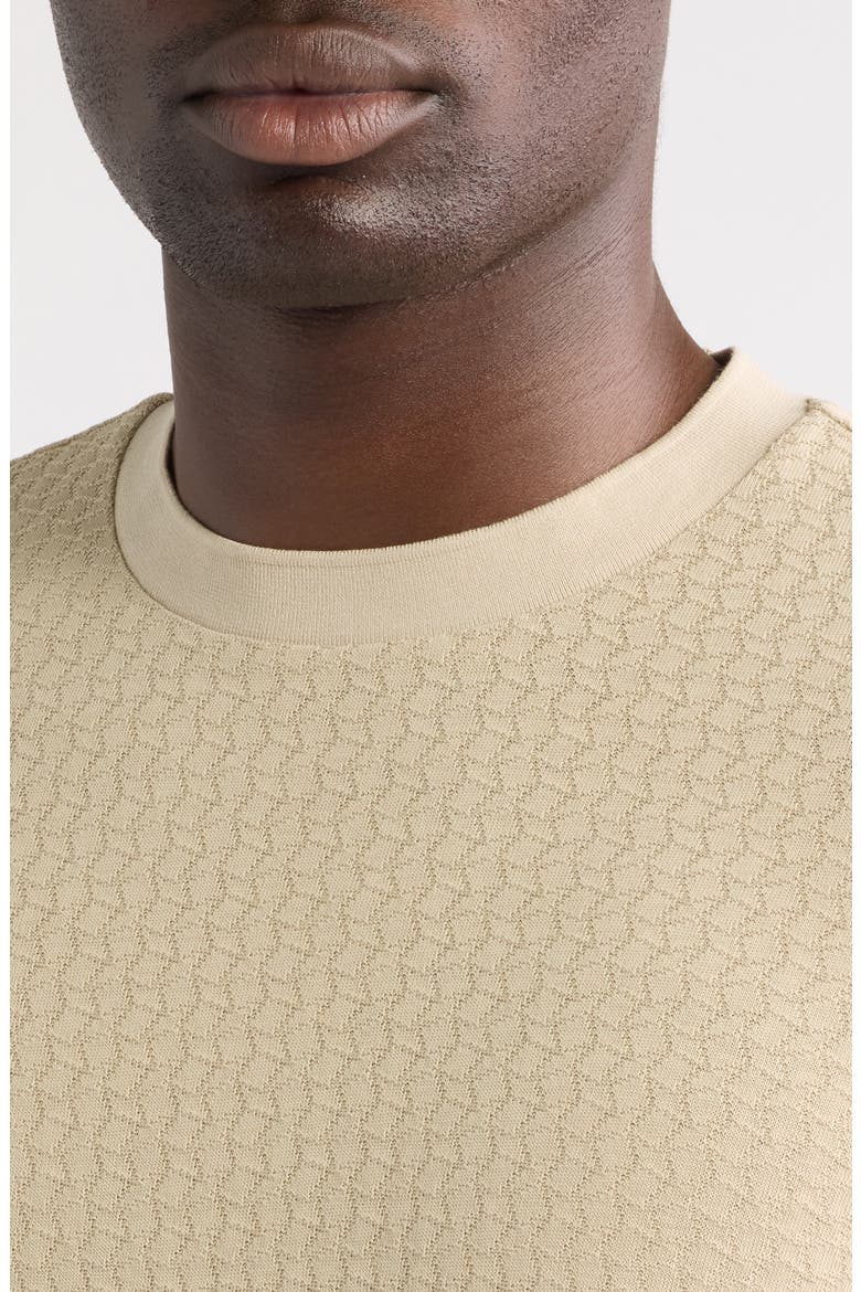 Thompson Textured Cotton T-Shirt, Alternate, color, OPEN BEIGE