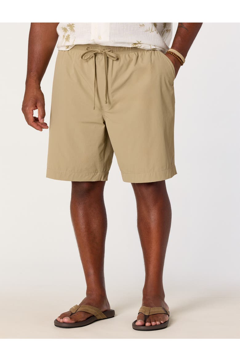 Big & Tall Pull-On Performance Stretch Shorts, Main, color, CORIANDER
