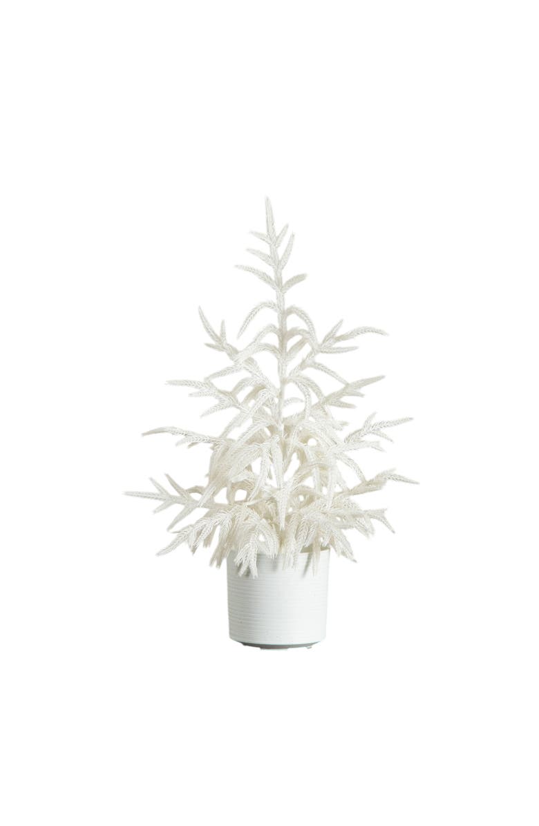 NEARLY NATURAL 2-ft Artificial Real Touch White Norfolk Island Pine Christmas Tree with Natural Look, Main, color, White