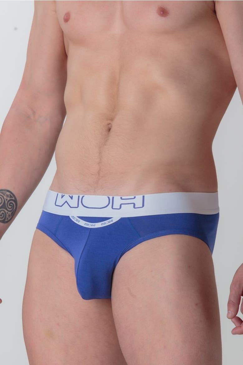WOH Sexy Fun Mini Briefs, Alternate, color, Blue