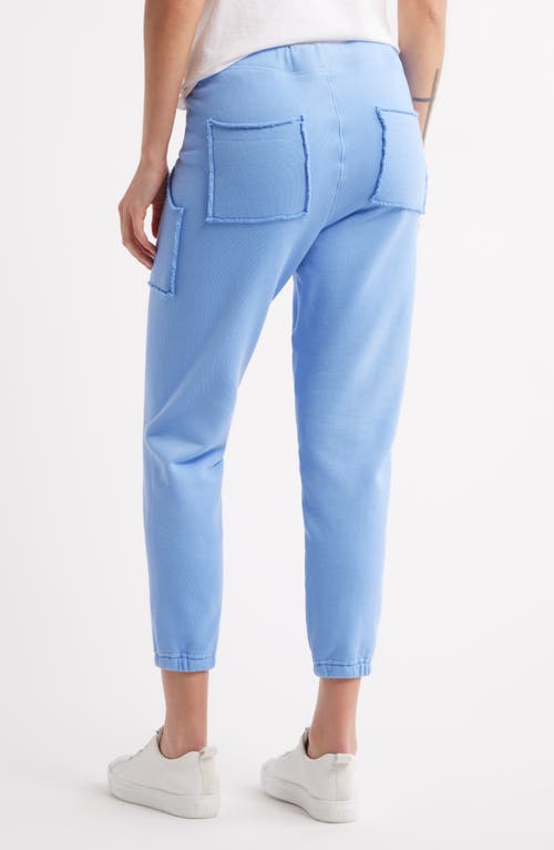 Frank & Eileen Eamon Fleece Jogger Sweatpants