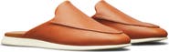 Wolf & Shepherd Coast Mule