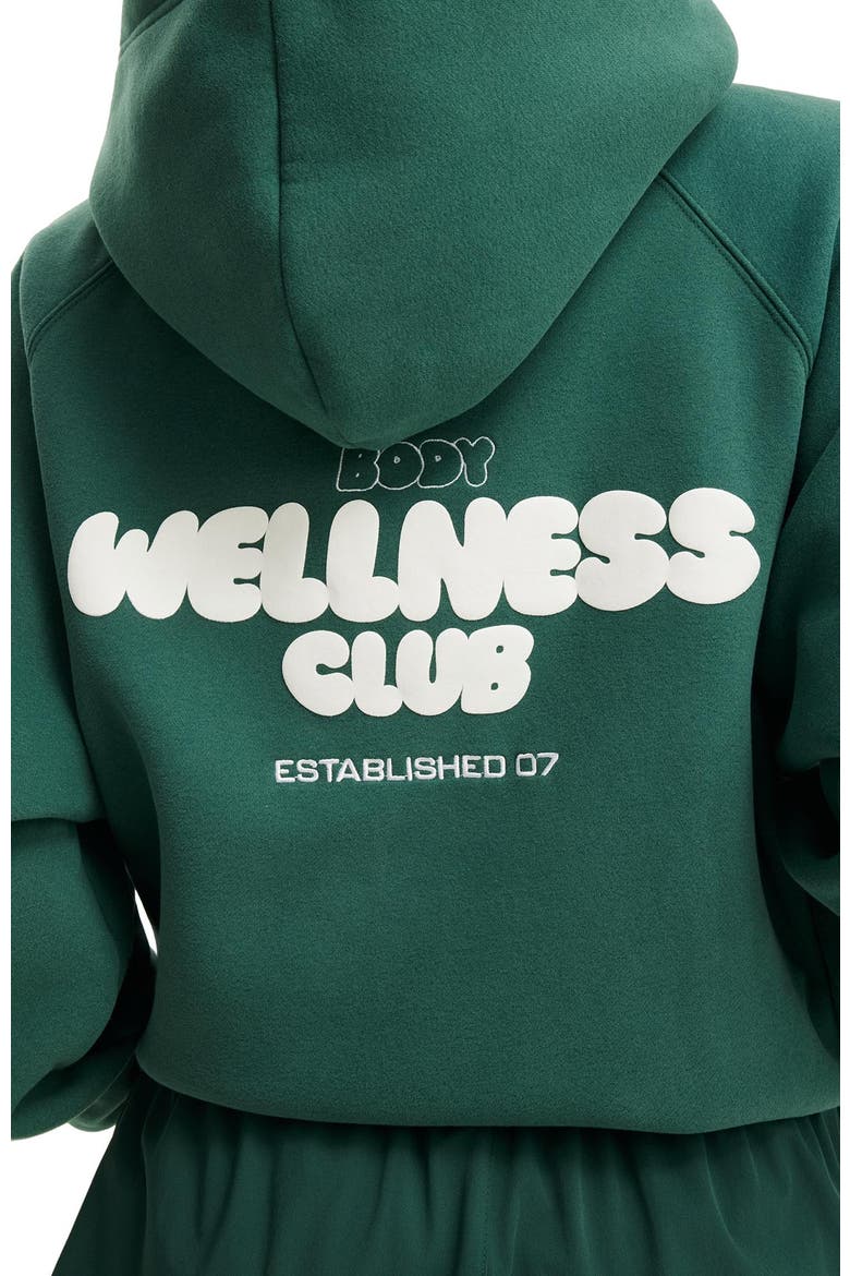 Women's Active Plush Premium Graphic Raglan Hoodie, Alternate, color, Bistro Green Body Wellness