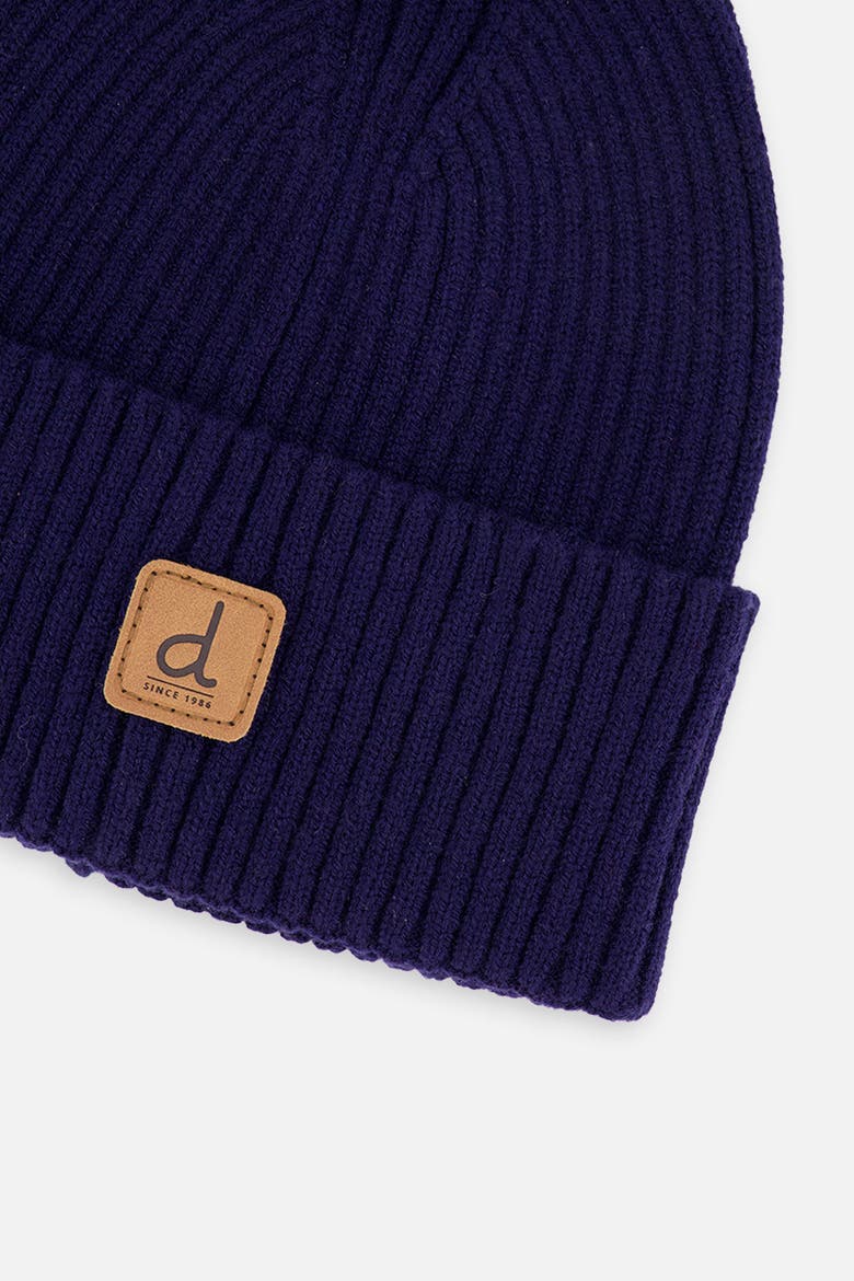 Ribbed Knit Folded Cuff Beanie, Alternate, color, Navy Blue