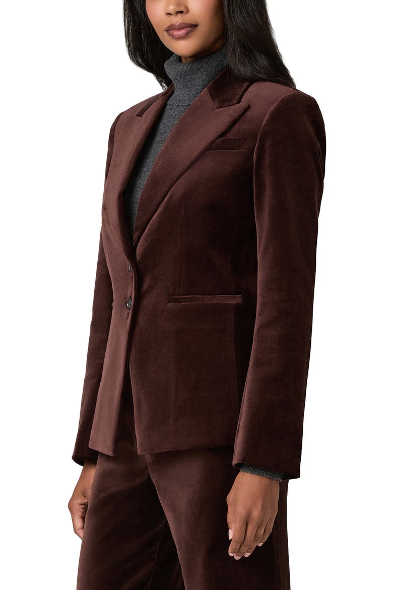 Chelsee Velvet Blazer, Alternate, color, BURGUNDY