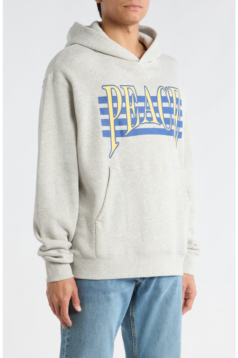 Seventies Logo Cotton Graphic Hoodie, Alternate, color, ASH