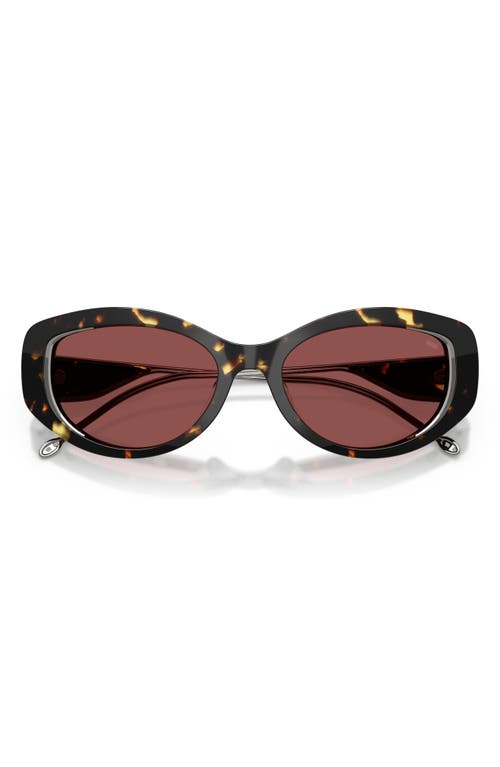 Diesel ® Geck-d 54mm Oval Sunglasses In Havana/dark Violet