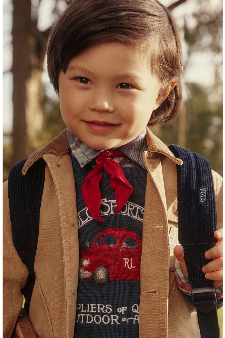 Kids' Polo Sportsman Intarsia Cotton Sweater, Alternate, color, RUSTIC NAVY MULTI