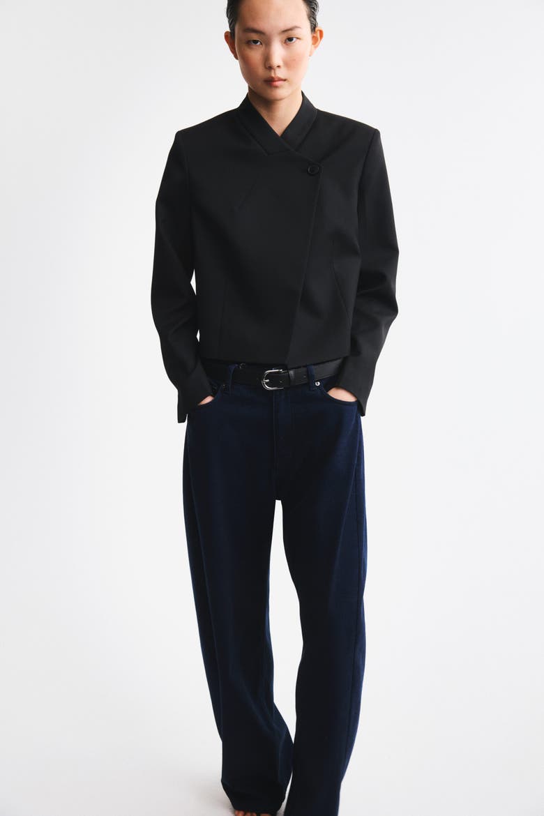 Oversized Single-Breasted Jacket, Alternate, color, Black