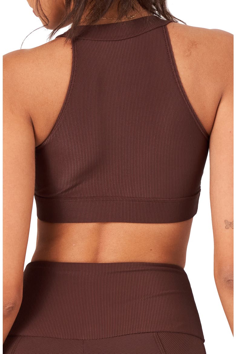 High Neck Crop Bra Top, Alternate, color, BROWN RIB