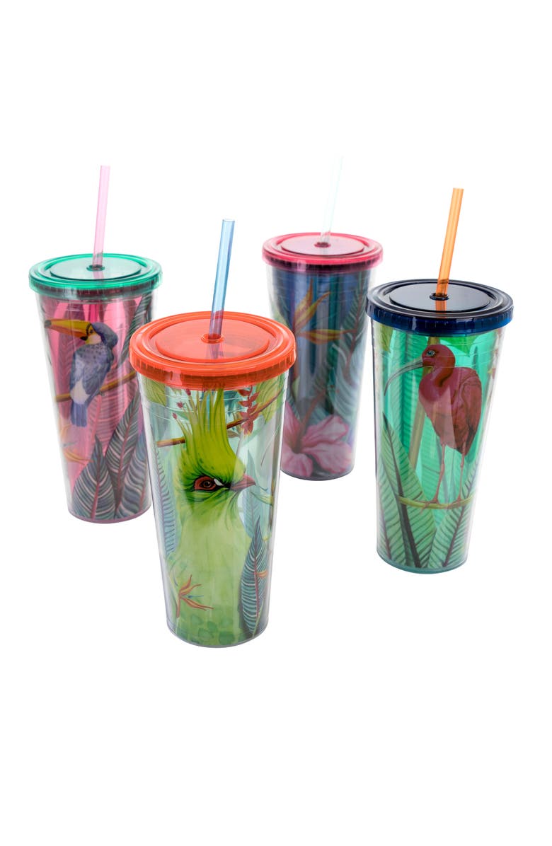 Gibson Home Tropical Bird 4 Piece 23.6 Ounce Double Wall Tumbler Set with Straw, Main, color, Clear