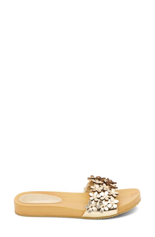 Coconuts By Matisse Chelsea Slide Sandal In Gold