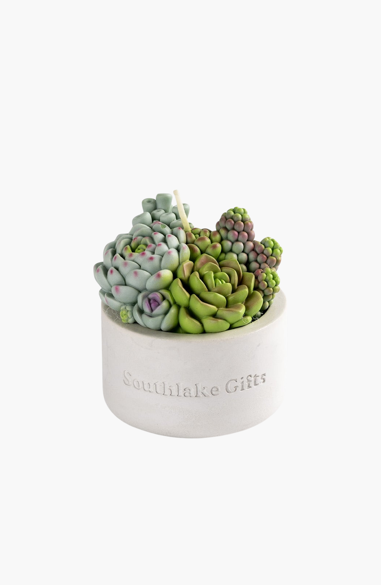 Southlake gifts Assorted Succulent Candle with Concrete Vessel, Main, color, Jade / Lilac / Sage