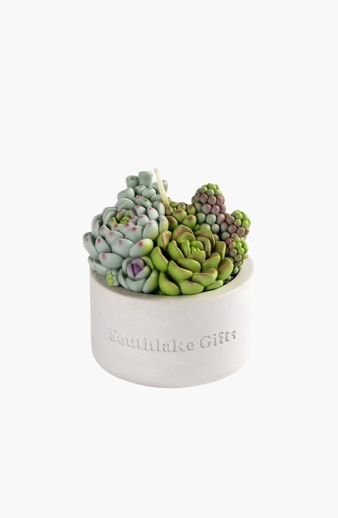 Assorted Succulent Candle with Concrete Vessel