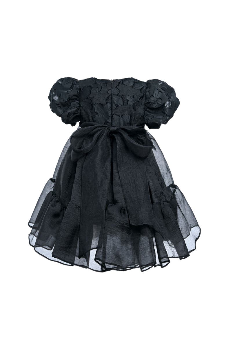 Tulleen Winona Dress, Alternate, color, Black