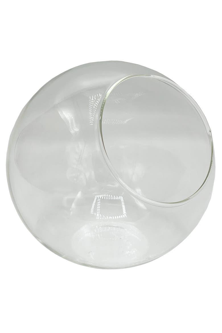 Classic 5 Inch Glass Terrarium, Main, color, Clear