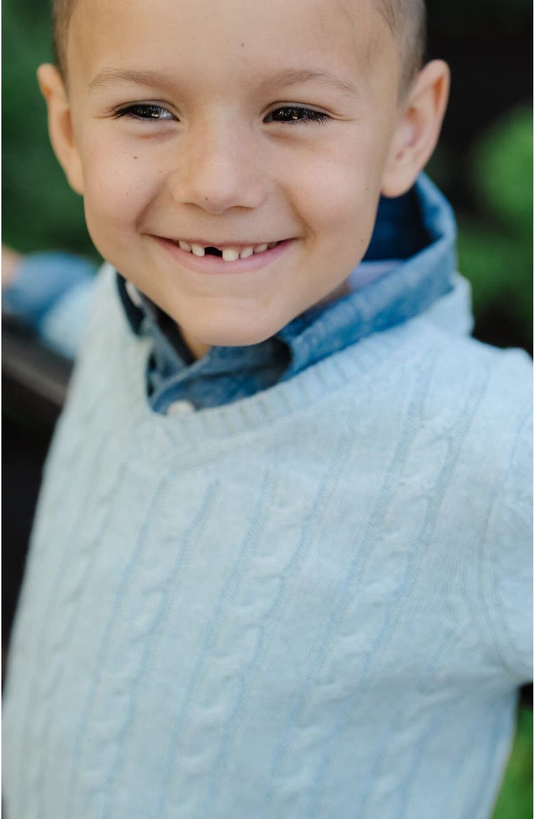 Hope & Henry Kids' Organic Long Sleeve Fine Gauge Cable V-Neck Sweater, Alternate, color, Dusty Blue Heather Cable