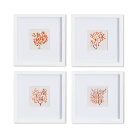 Branch Coral Petite Prints Set of 4