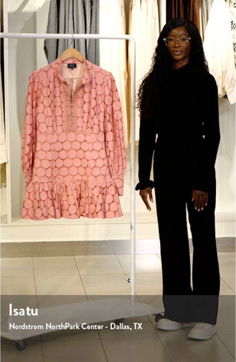 Remy Long Sleeve Spot Lace Minidress, sales video thumbnail