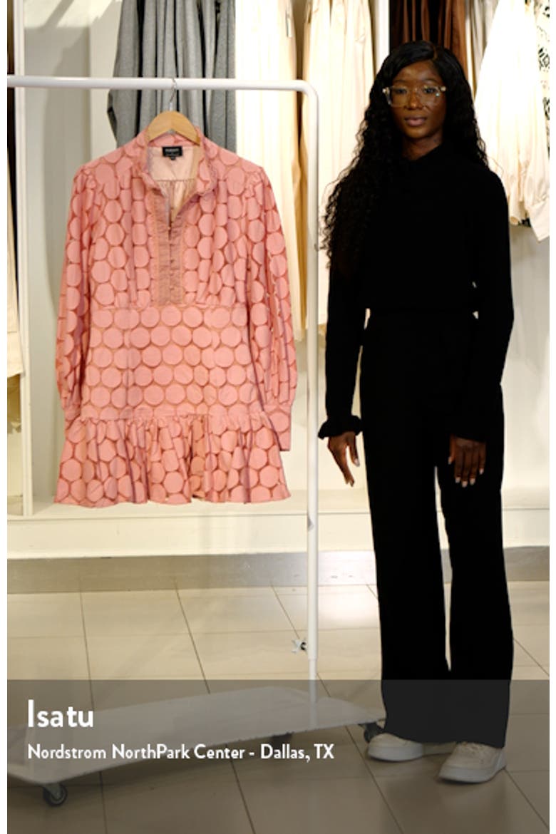 Remy Long Sleeve Spot Lace Minidress video
