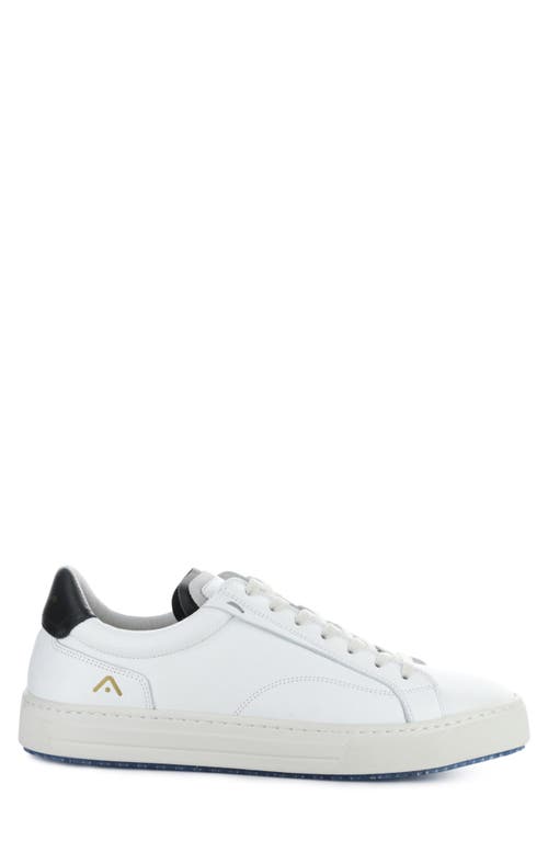 AMBITIOUS AMBITIOUS 11218 LOW TOP SNEAKER