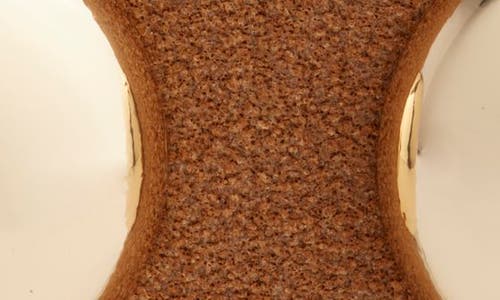 Treasure & Bond Riley Studded Belt In Brown