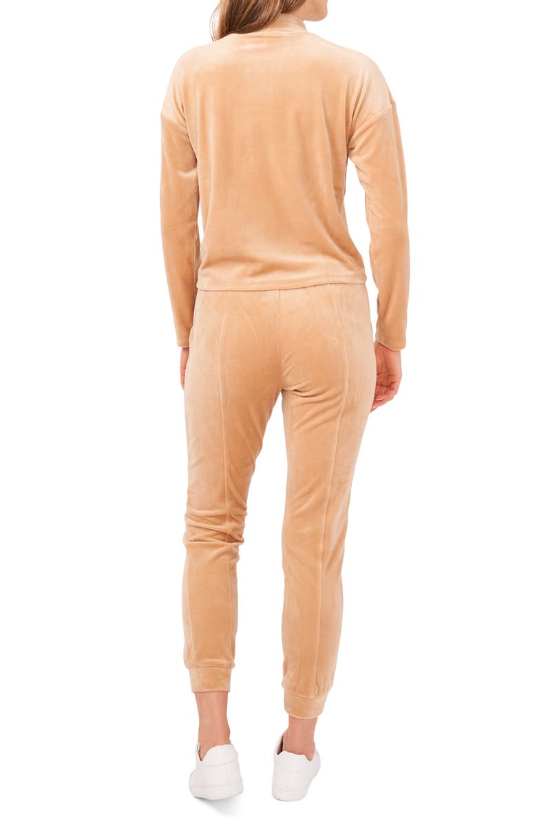 1.STATE Velour Turtleneck Top, Alternate, color, Cappuccino