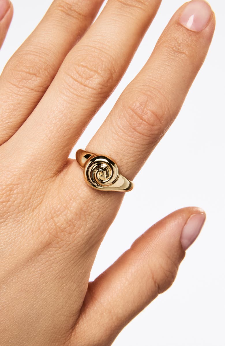 Ana Luisa Gold Signet RIng - Ariel Ring, Alternate, color, Gold
