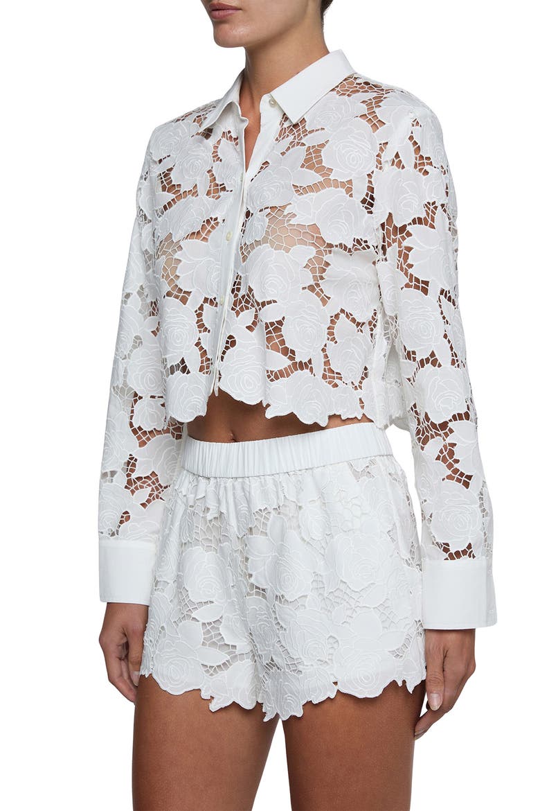 Seychelle Cutwork Crop Button-Up Shirt, Alternate, color, IVORY