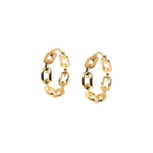 Zarux Modern Day Hoop Earrings In Gold