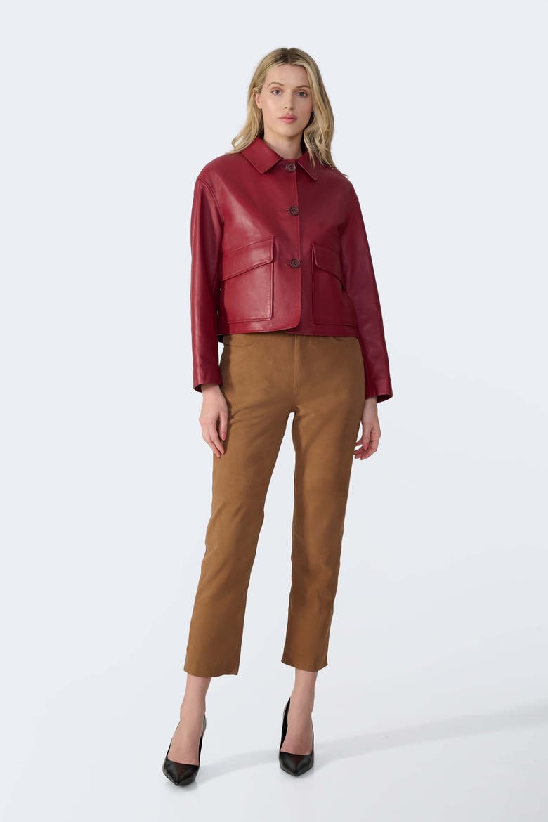 Ella Leather Jacket, Alternate, color, Light Burgundy