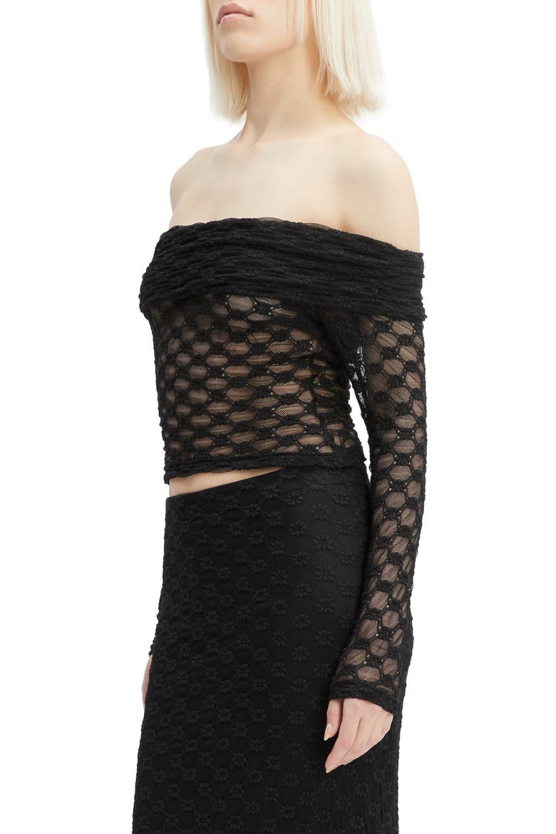 Adoni Embroidered Sheer Mesh Crop Top, Alternate, color, BLACK