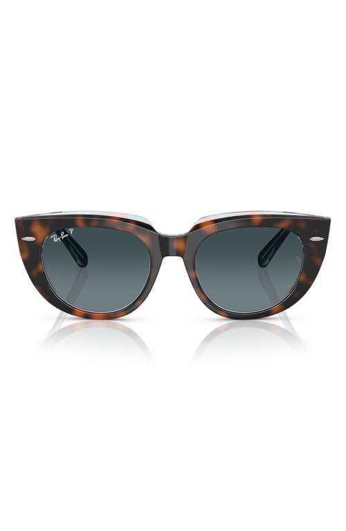 Ray Ban Ray-ban Ray-ban Doreen Rb2286 1413s3 In Brown/blue Gradient