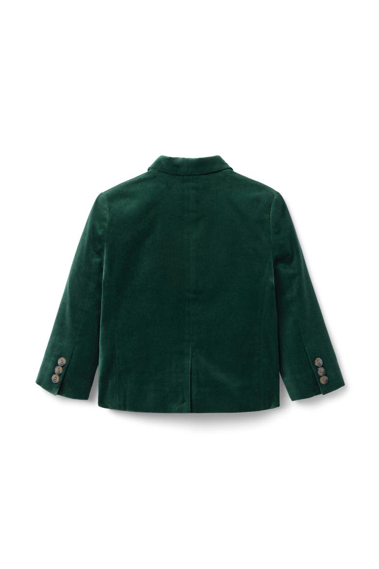 The Velvet Party Blazer, Alternate, color, Green