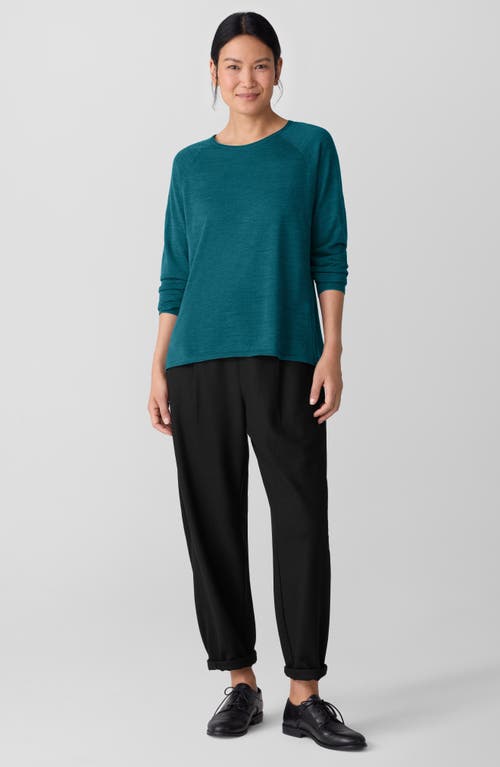Eileen Fisher Superfine Merino Crew Neck Top In Regenerative Wool In Blue