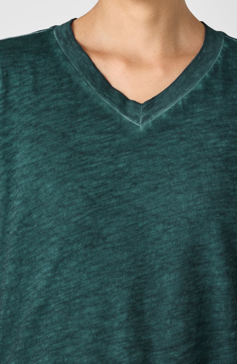 Eileen Fisher V-Neck Organic Cotton T-Shirt, Alternate, color, Aegean