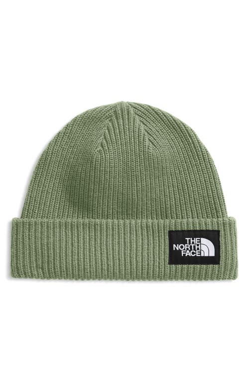 The North Face Salty Dog Beanie In Blue