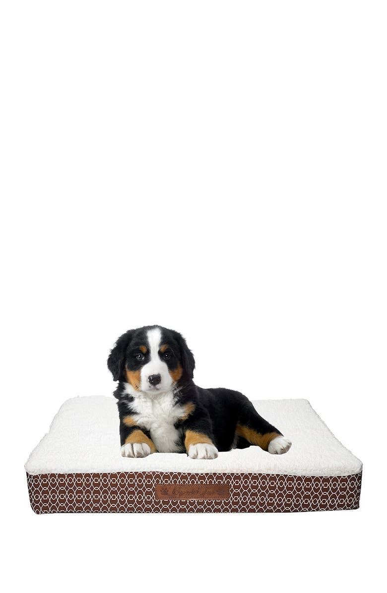 View of Duck River Textile Bogart Gate Small Orthopedic Memory Foam Pet Bed ...