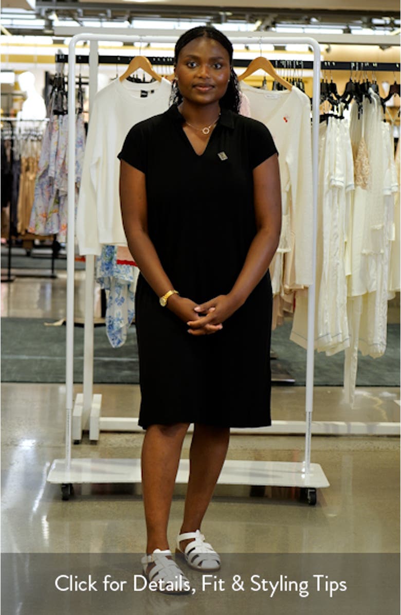 Classic Collar Shift Dress, sales video thumbnail