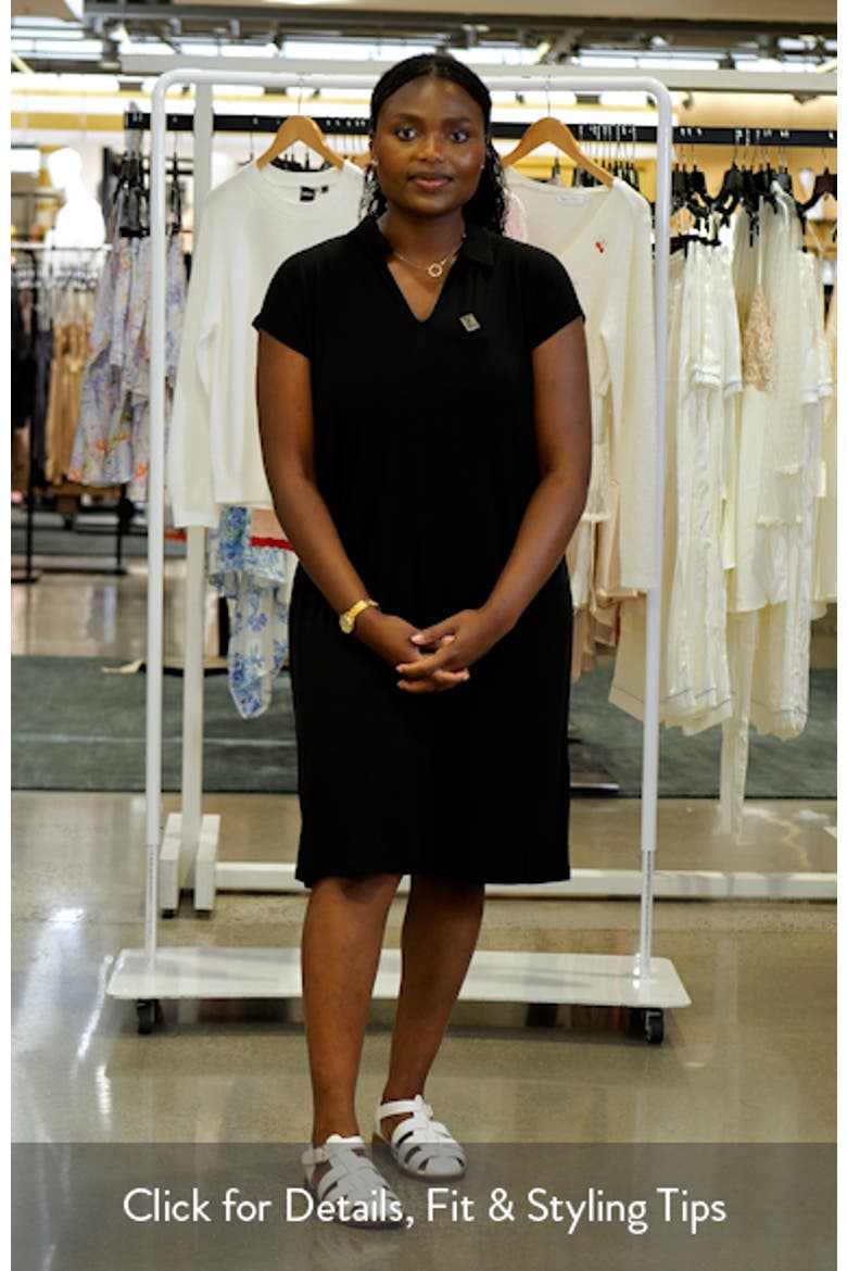 Classic Collar Shift Dress video