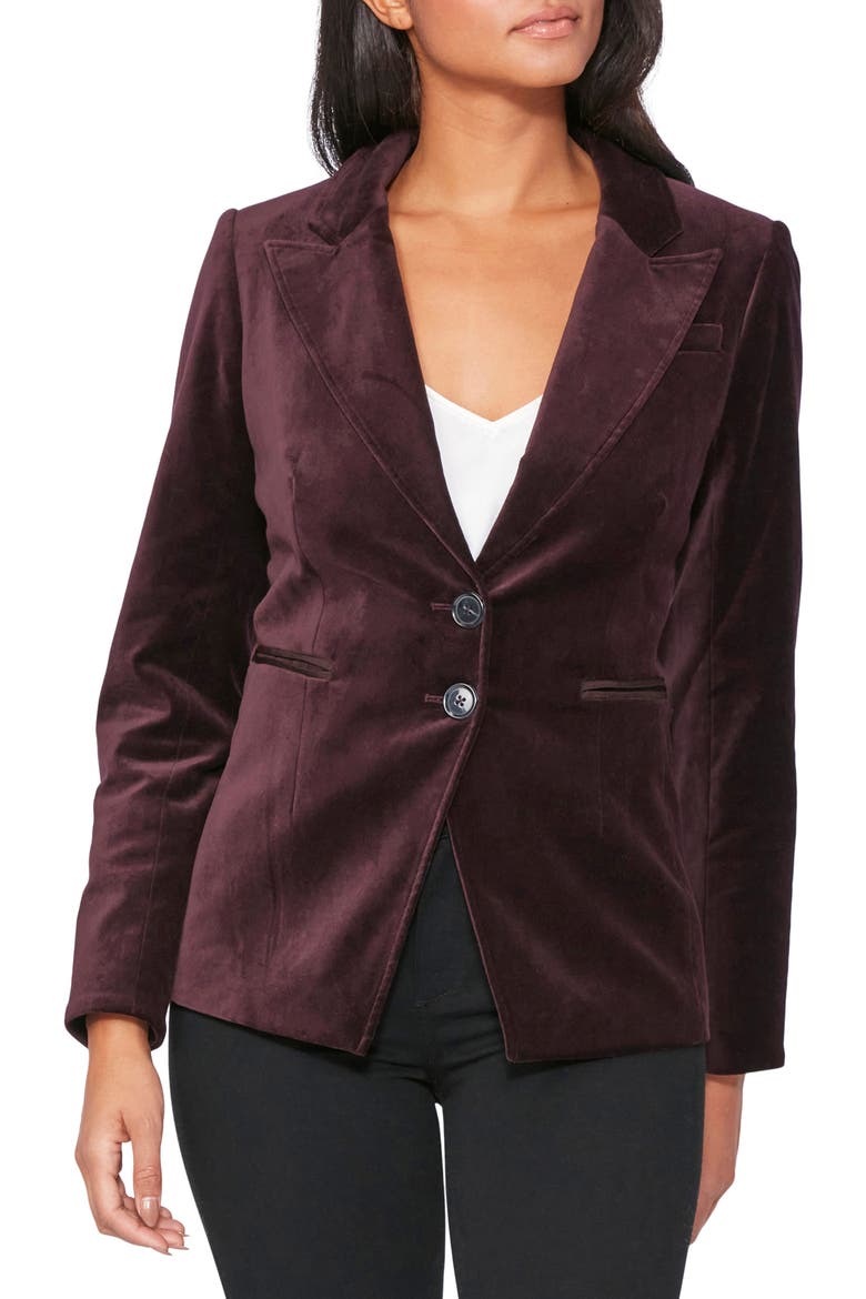 Chelsee Velvet Blazer, Alternate, color, BLACK CHERRY