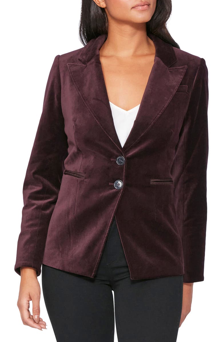 PAIGE Chelsee Velvet Blazer, Alternate, color,