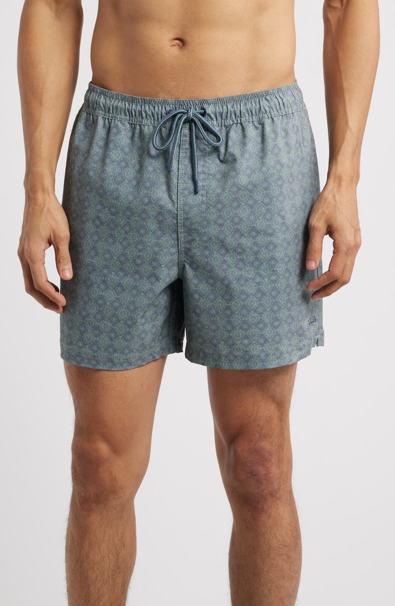 Rails La Brea Iridescent Swim Trunks, Main, color, 
