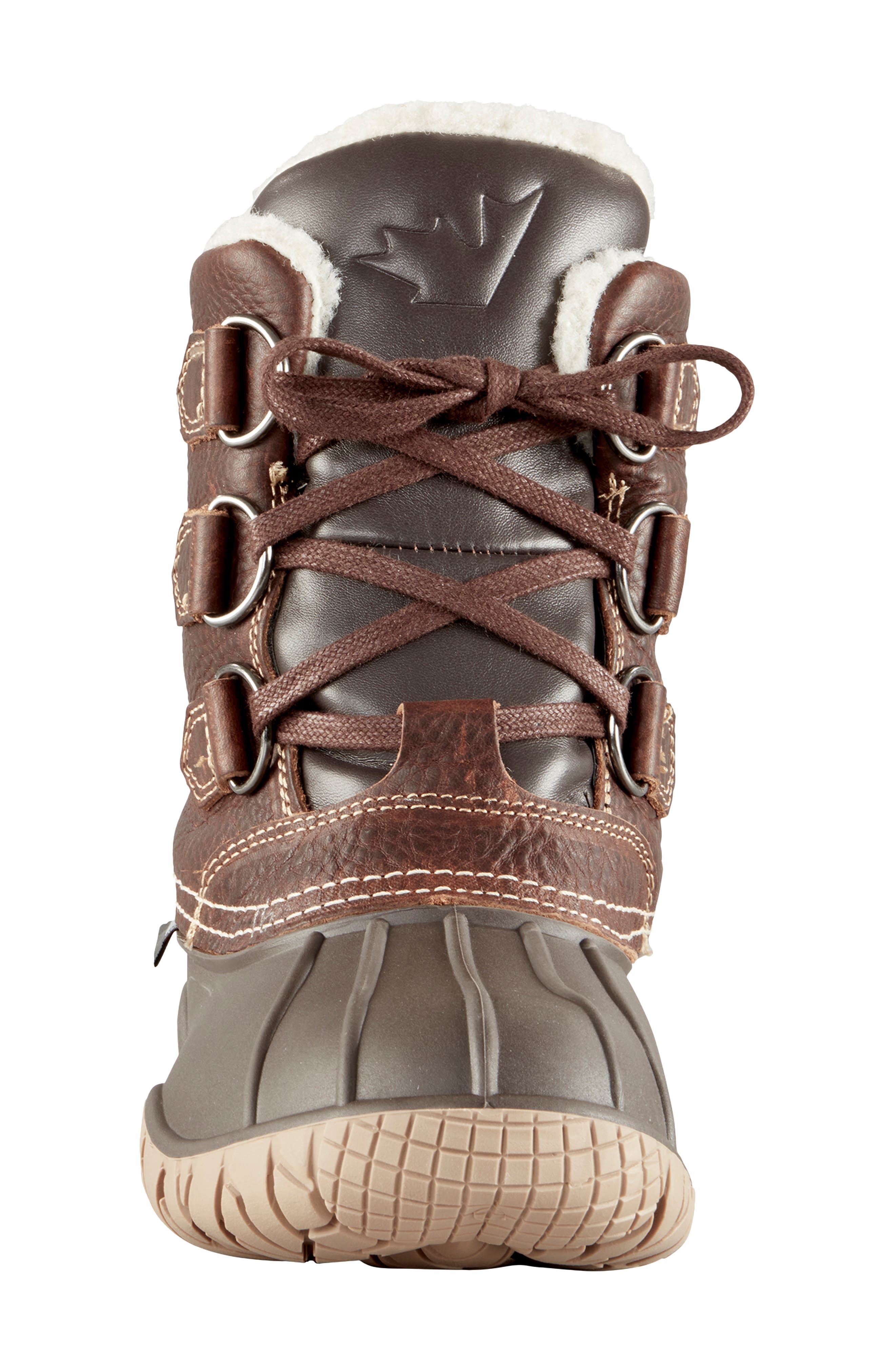 Yellowknife Waterproof Snow Boot, Alternate, color, BROWN