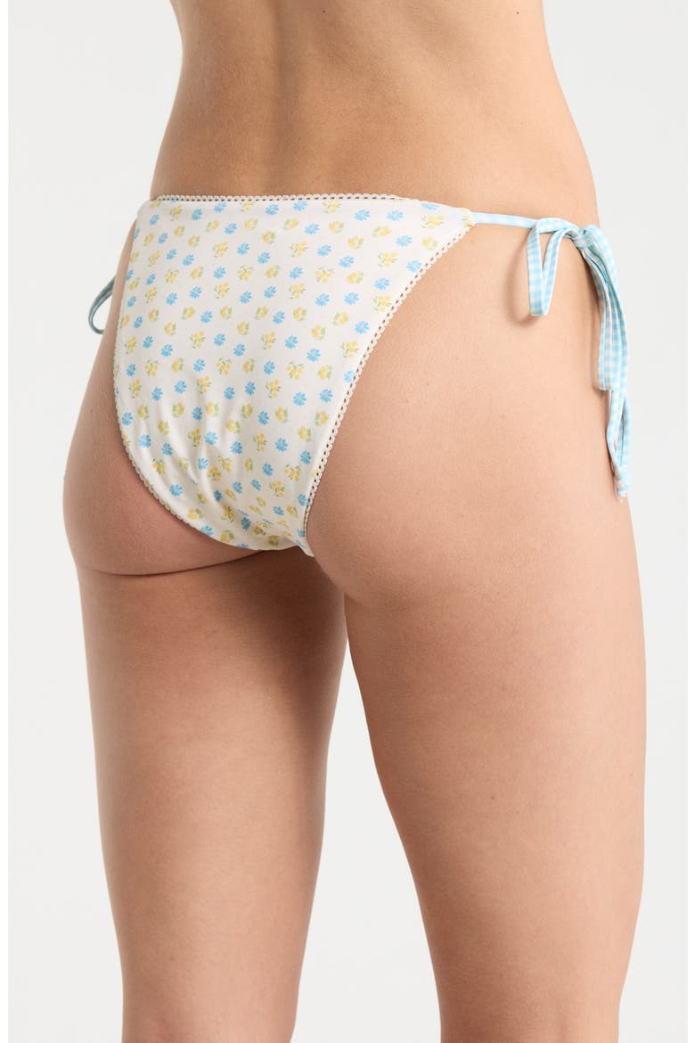 Valentina Side Tie Bikini Bottoms, Alternate, color, MEADOW/ BLUE GINGHAM