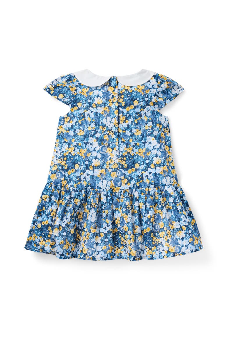 Floral Dropwaist Dress, Alternate, color, Blue