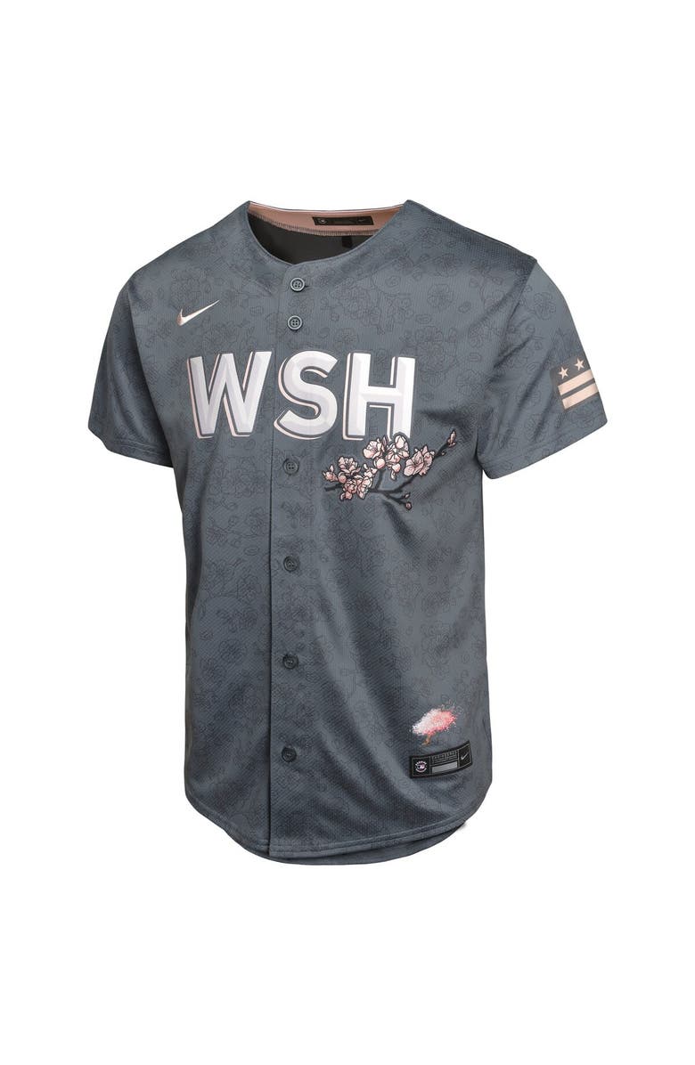 Nike Youth Nike Charcoal Washington Nationals City Connect Limited Jersey, Alternate, color,