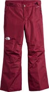 The North Face Kids' Freedom Waterproof Insulated Pants